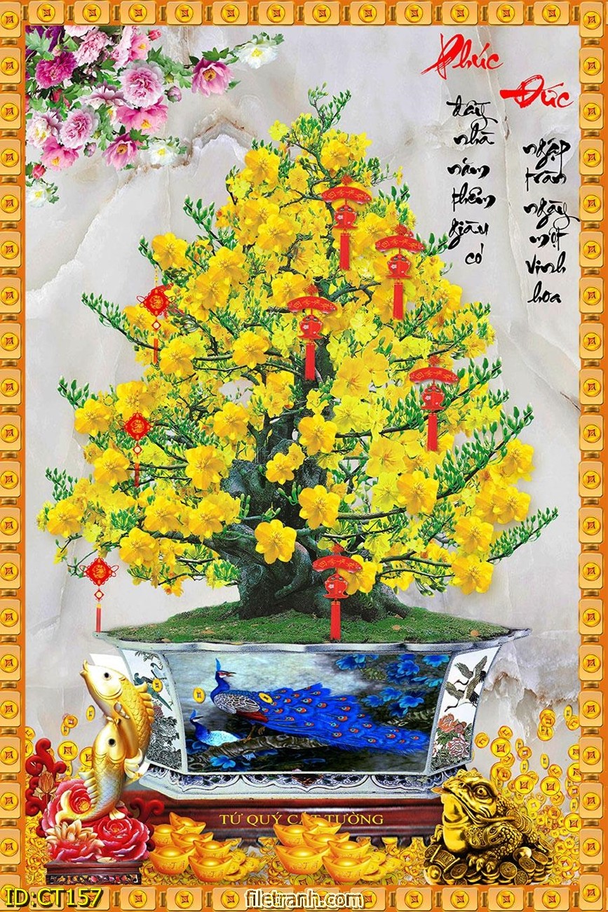 Tổng hợp hình ảnh cây mai ngày tết 2023 tổng hợp hình ảnh hoa mai vàng đẹp  nhất việt nam