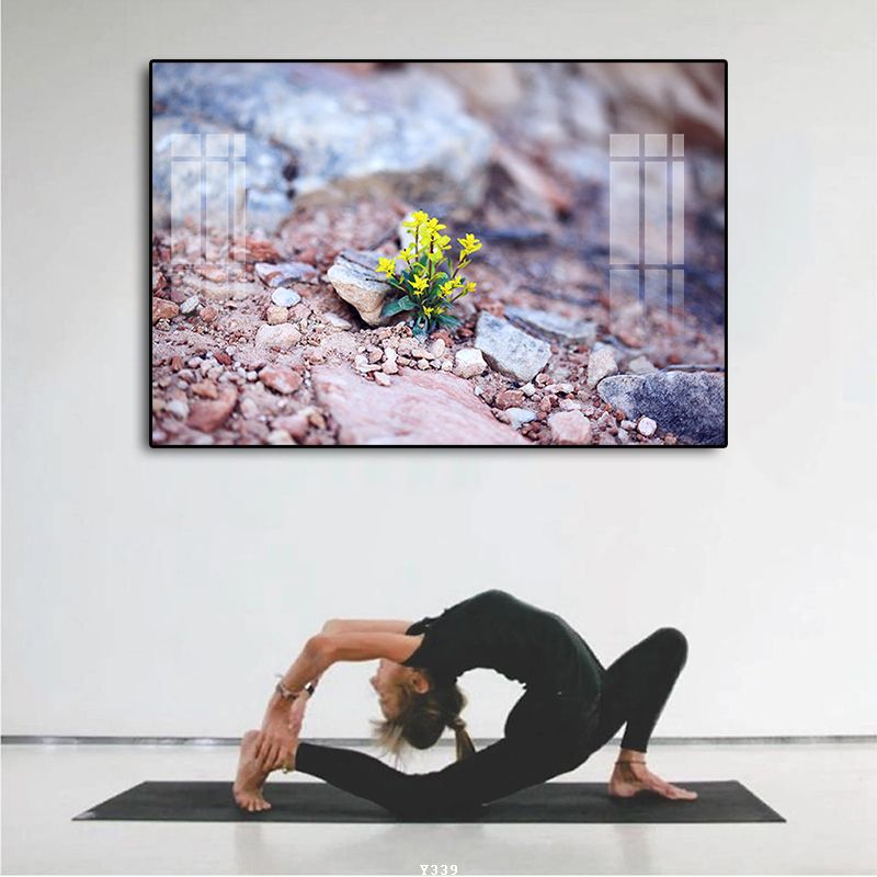 https://filetranh.com/tranh-trang-tri/file-tranh-treo-phong-tap-yoga-y339.html